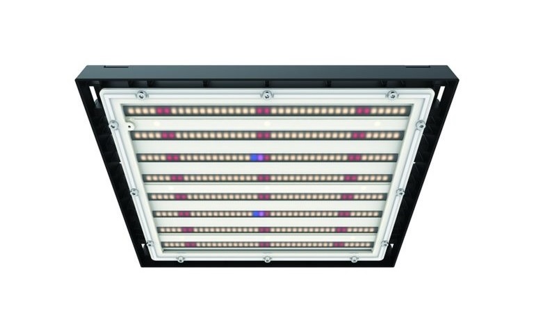 Agricultural Lighting