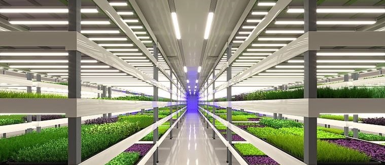 Agricultural Lighting